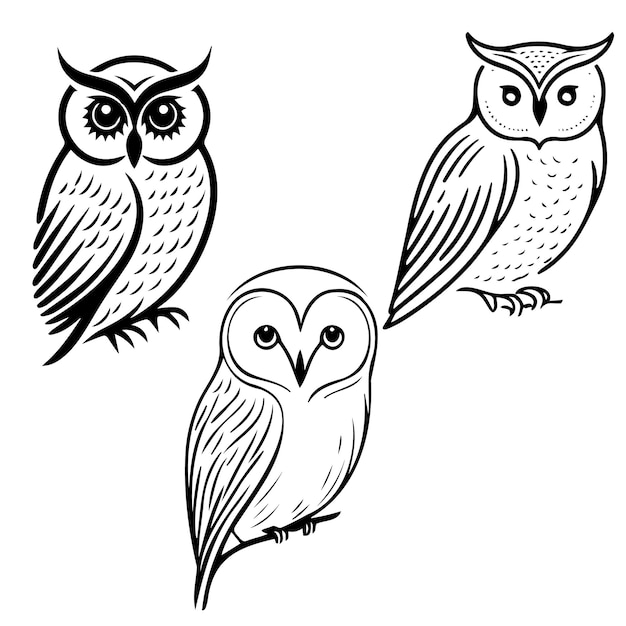 Vector owl logo set owl logo vector silhouette