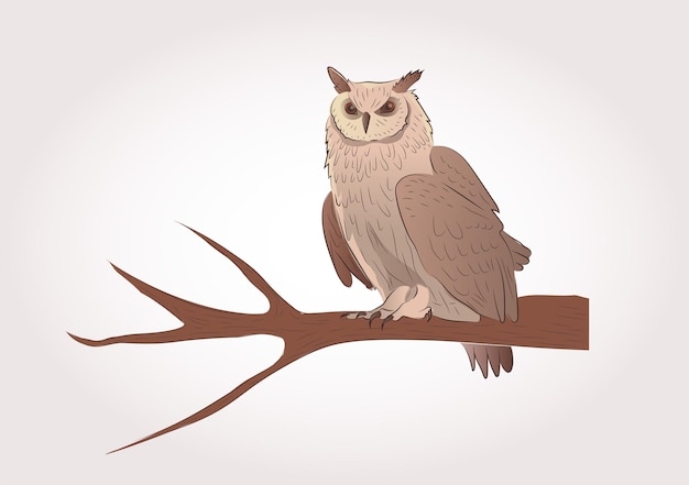 Vector owl sitting on the branch