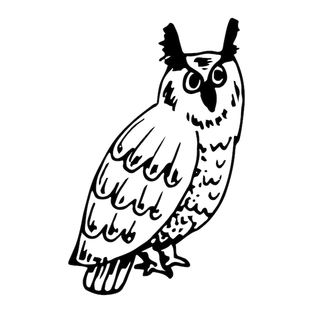 Owl sketch Forest flying animal Hand drawn illustration