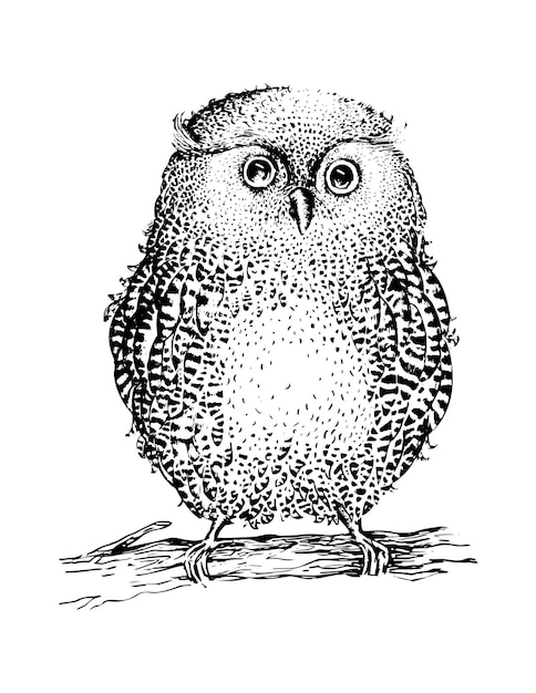 Owl vettore disegnato a mano impostato in stile zentangle