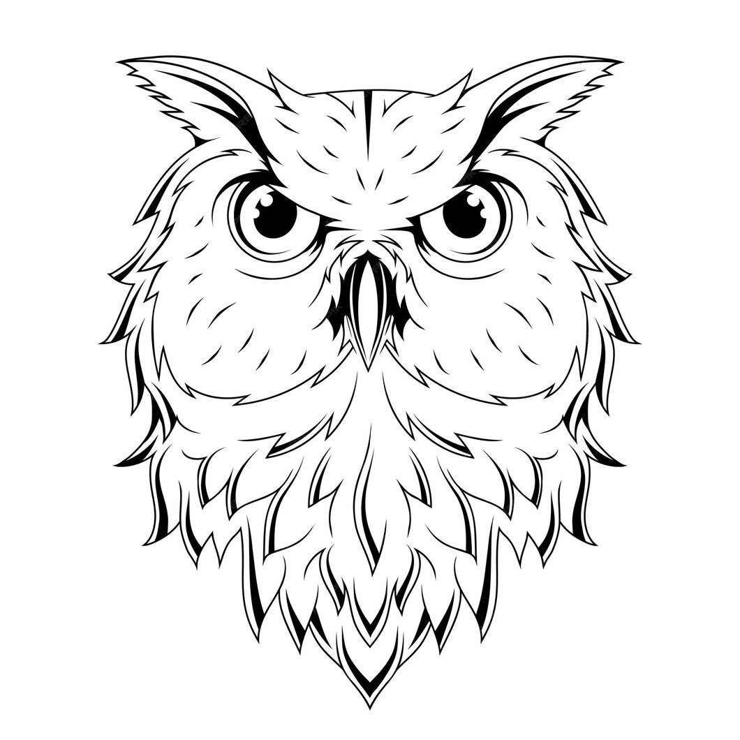 Premium Vector | Owl vector illustration of a sketch bird nocturnal