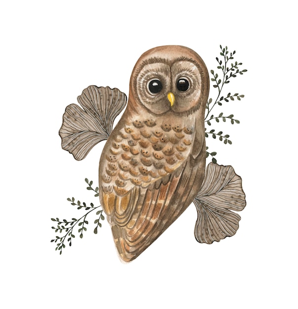 Owl watercolor illustration.