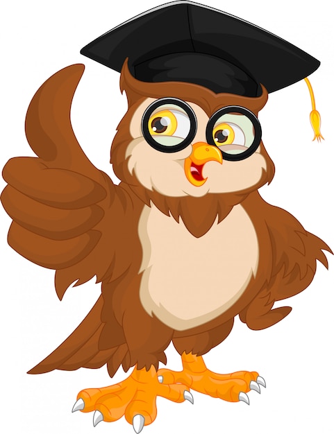 Owl wearing graduation cap