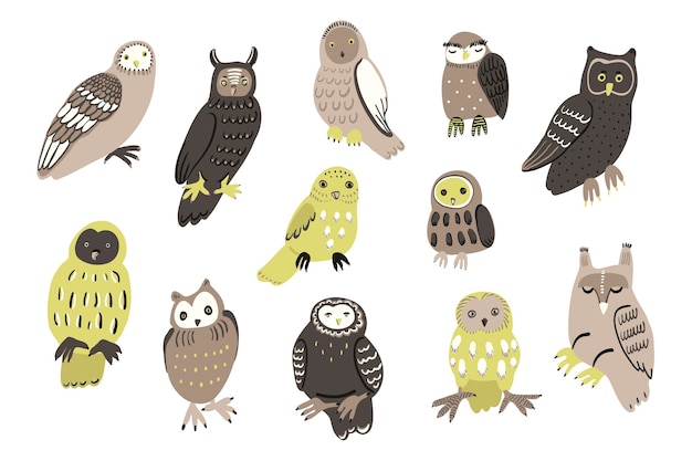 Owls birds wildlife forest animals illustrations set