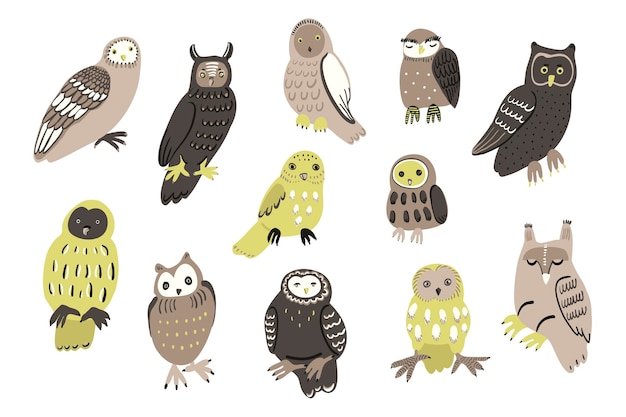 Vector owls birds wildlife forest animals illustrations set
