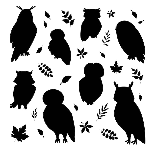 Owls black silhouette set