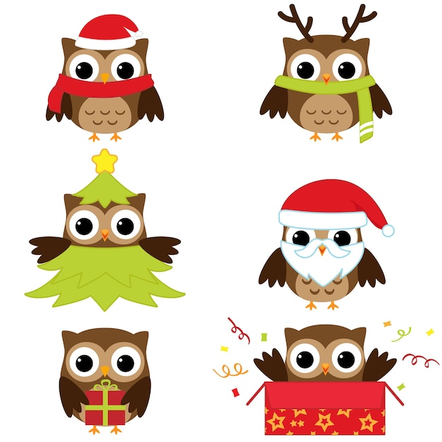 Vector owls_chr1