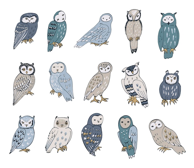 Owls forest animals vector illustrations set