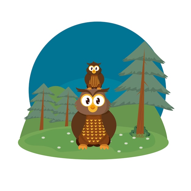 Owls at forest isolated image