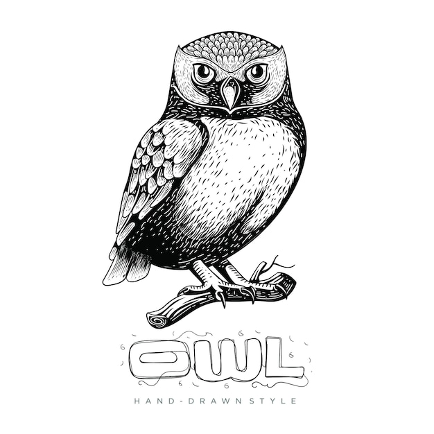 Owls perch on tree trunks, hand drawn animal illustrations