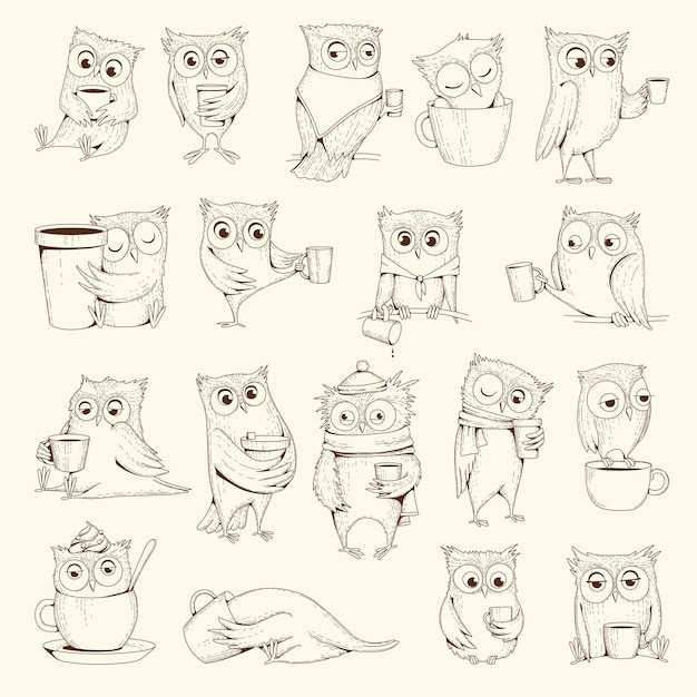 Gufi con tazza. caratteri di uccelli di concetto di sonno che si siedono sulle illustrazioni di vettore delle tazze di caffè. disegno del sonno del gufo dell'uccello, emozione della linea dell'umorismo di doodle