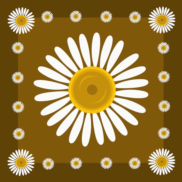 Ox eye daisy flowers illustration