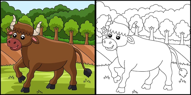 Ox Kleurplaat Gekleurde Illustratie