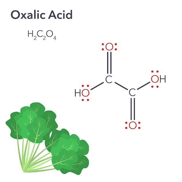 Oxalic Acid science vector illustration graphic