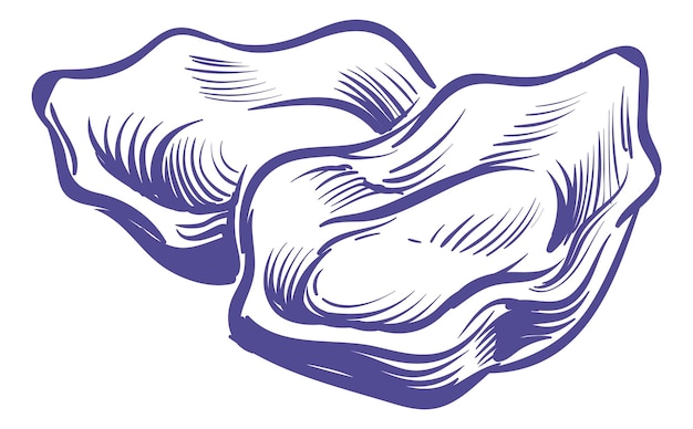 굴 동물 스케치 손으로 그린 스타일의 조개 해산물