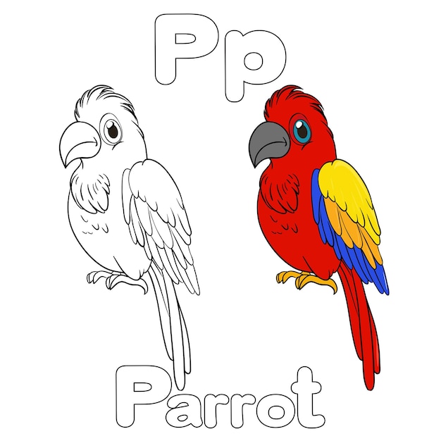 P for Parrot