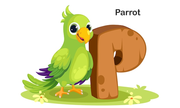 P for parrot