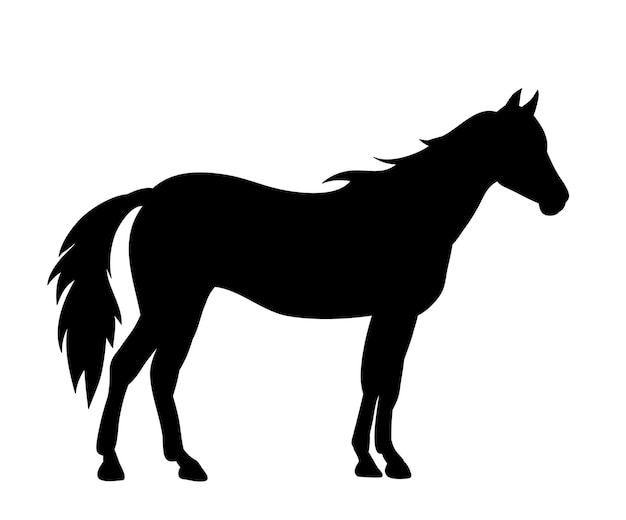 Paard silhouet op witte achtergrond
