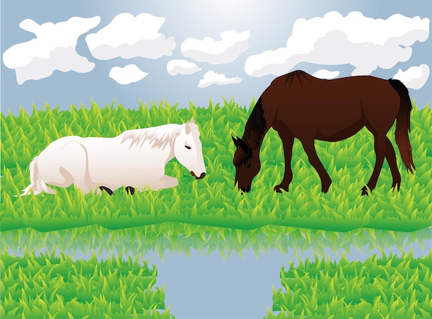 Vector paarden op weiden die gras eten, vectorillustratie