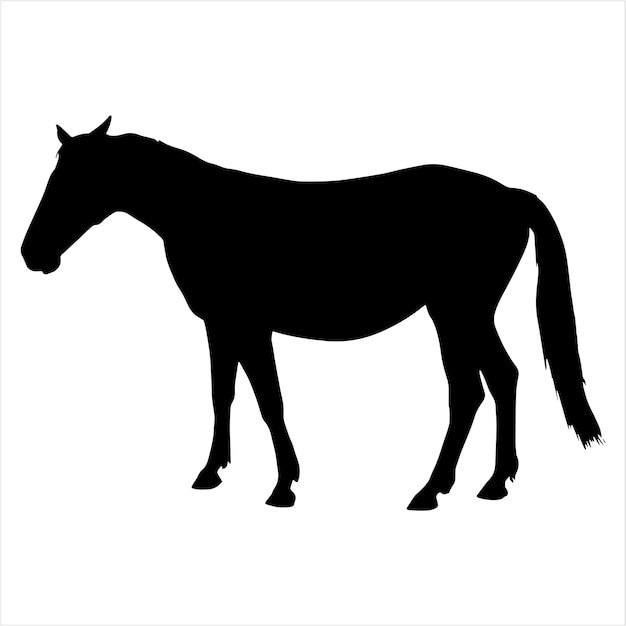 Paarden silhouet vectorillustratie