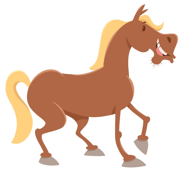 paardenfokkerij dier karakter