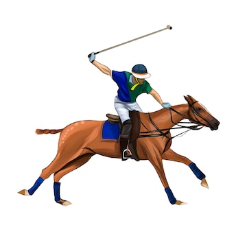 taart Speciaal Beukende Paardensport polo met een jockey van splash van aquarellen gekleurde  tekening paardrijden | Premium Vector