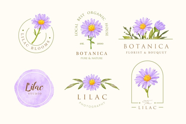 Paarse aster bloem vrouwelijke logo ontwerpset