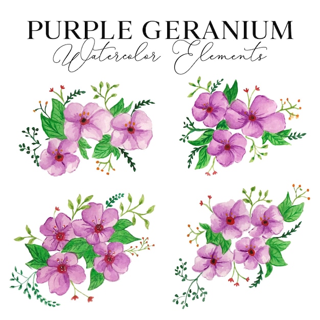 Paarse geranium aquarel elementen