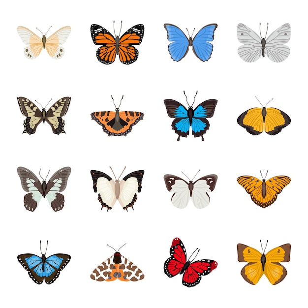 Pack of beautiful butterflies flat illustrations