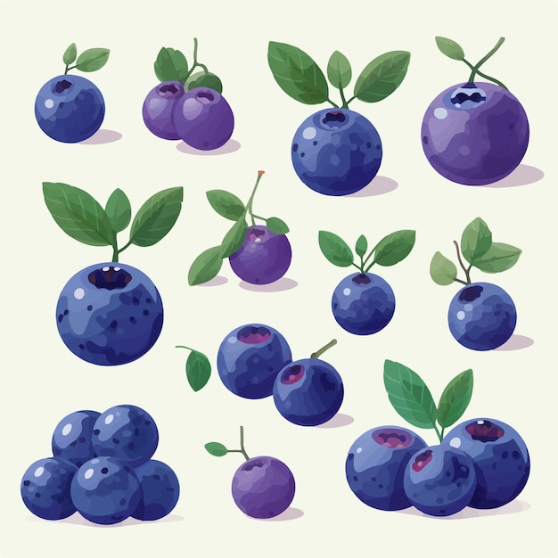 A pack of blueberry vector illustrations with a geometric twist