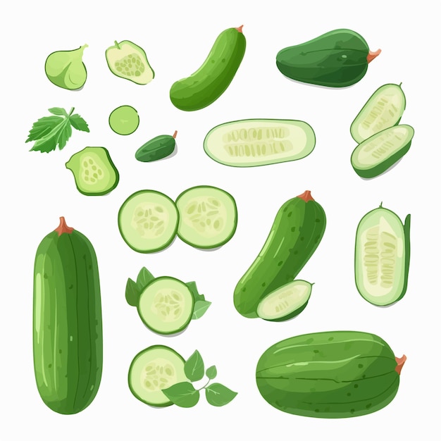 A pack of cucumber icons in a flat design style for a more modern and trendy look