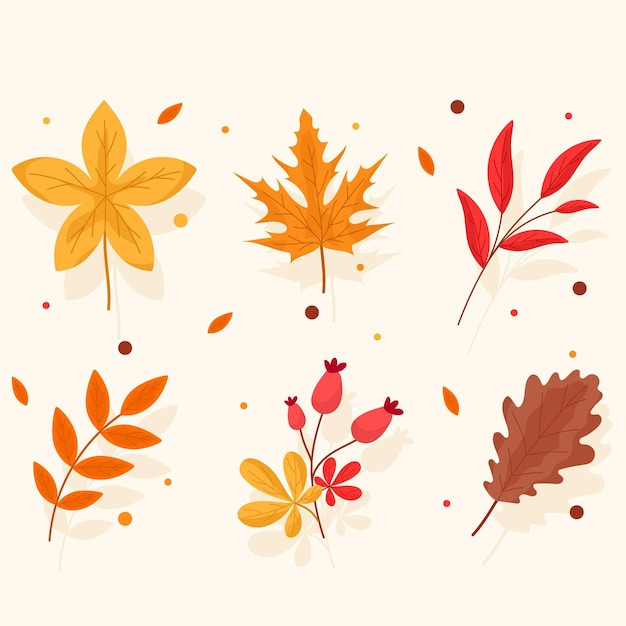 Pack of different autumn leaves