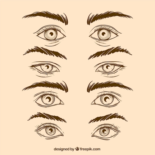 Pack of hand drawn eyes and eyebrows in realistic style