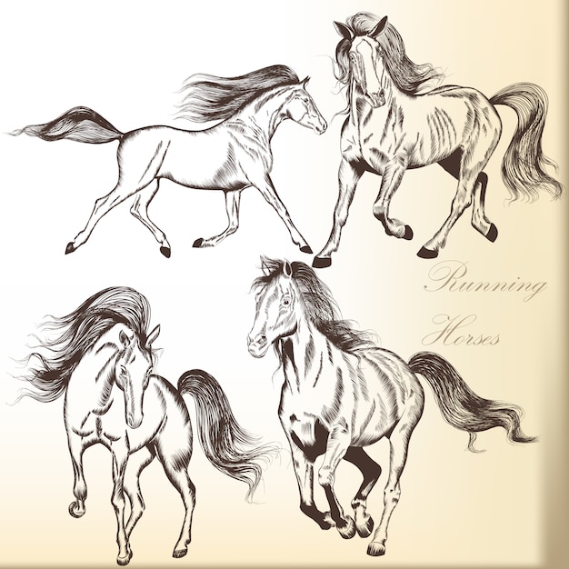 Pack of hand drawn horses 