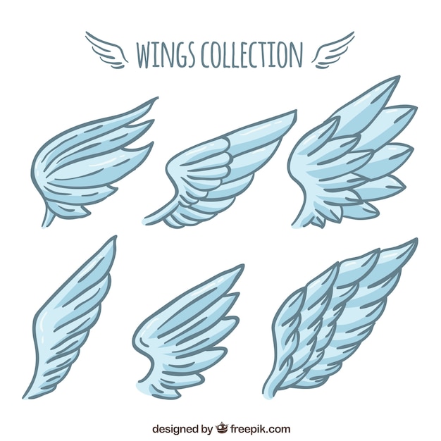 Vector pack of hand drawn wings