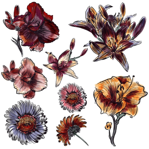 Vector pack of hand-painted vintage flowers