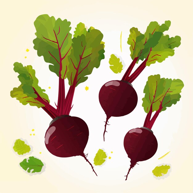 Vector pack of handdrawn vector illustrations of beets and leaves