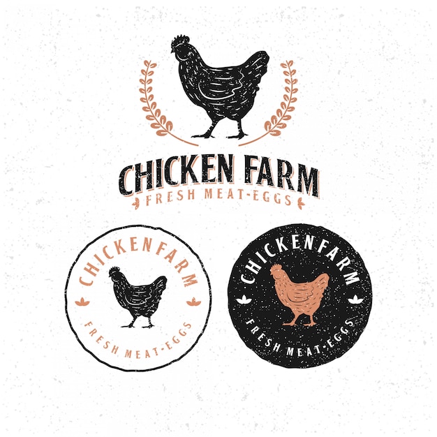 Пакет шаблонов курица логотип.