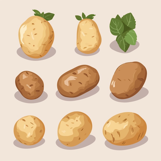 Pack of potato stickers with a glossy sheen for a vibrant and lively appearance