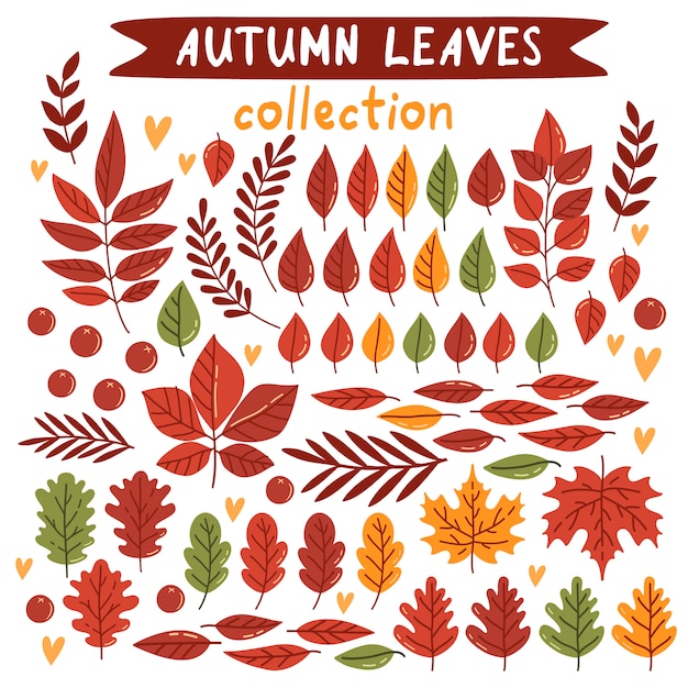 Pack of pretty autumn leaves 