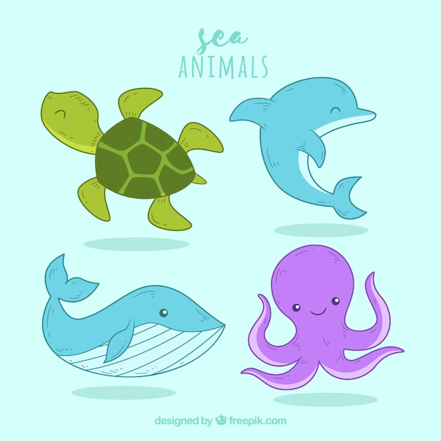 Pack of smiley sea animals