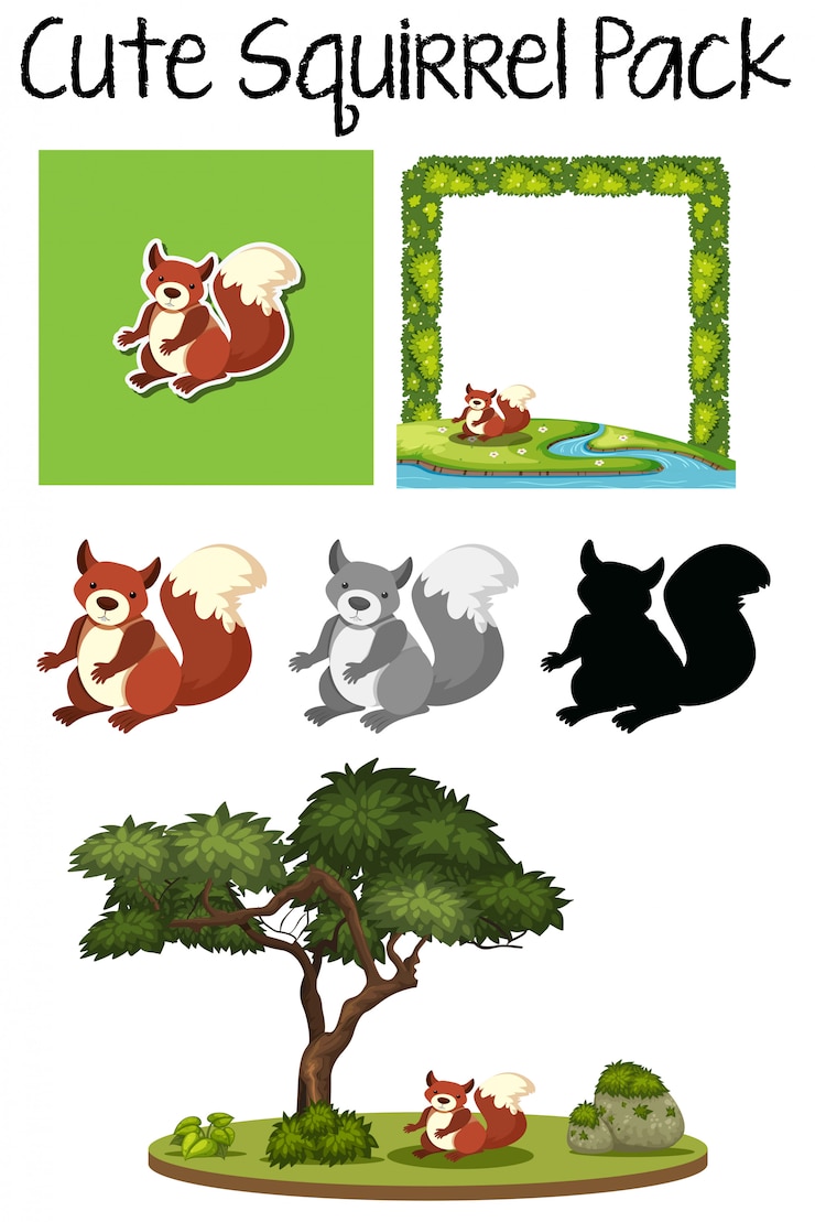 Vector a pack of squirrel