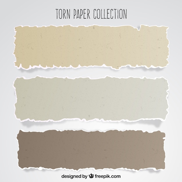 Vector pack of torn papers