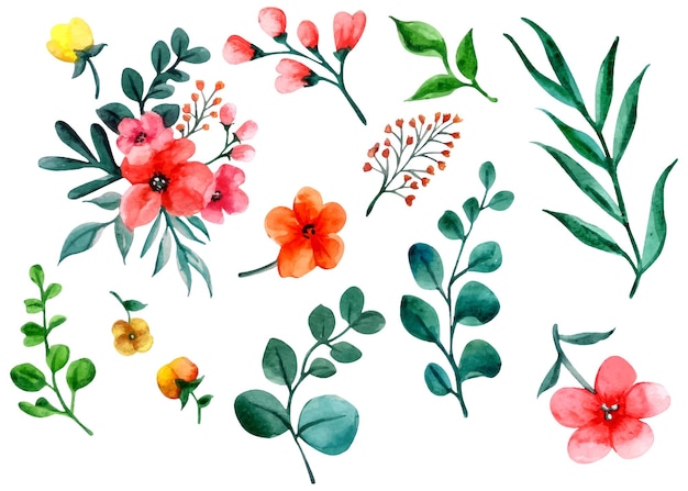 Pack of watercolor leaves and flowers