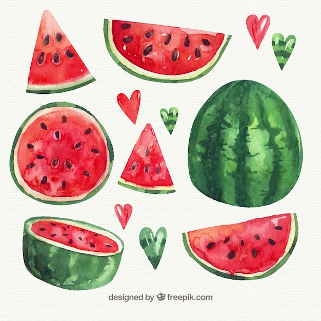 Pack of watercolor watermelon with variety of designs