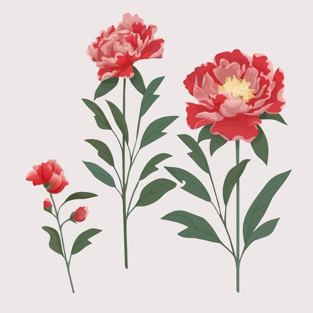 Vector pack of whimsical peony illustrations in vector format