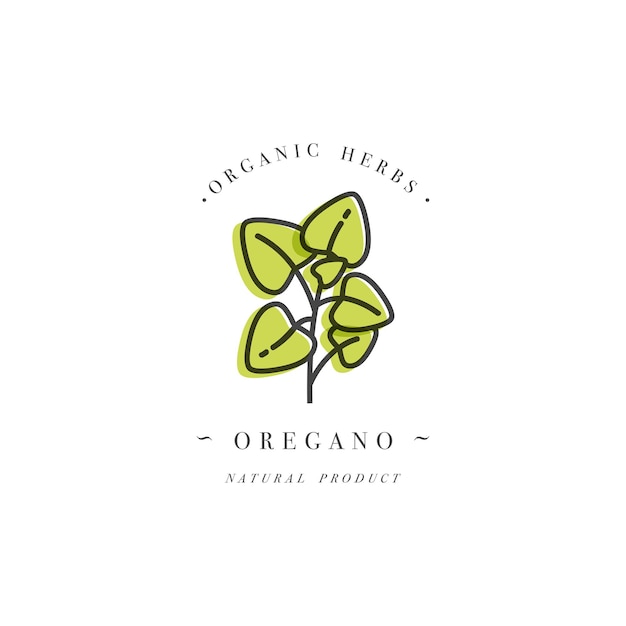 Логотип и эмблема шаблона дизайна упаковки - травы и специи - филиал орегано. Логотип в модном линейном стиле.