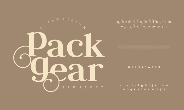 Packgear 프리미엄 럭셔리 우아한 알파벳 문자 및 숫자 우아한 웨딩 타이포그래피 클래식