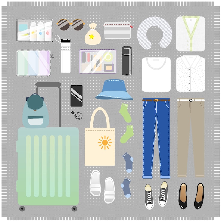 Vector packing list for a traveling bagage