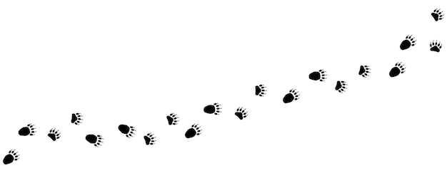 Pad van beer voetafdrukken Sporen van pootafdrukken van beer panda grizzly beer Silhouette Bear trail Vector